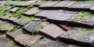 Wivenhoe roof repair costs